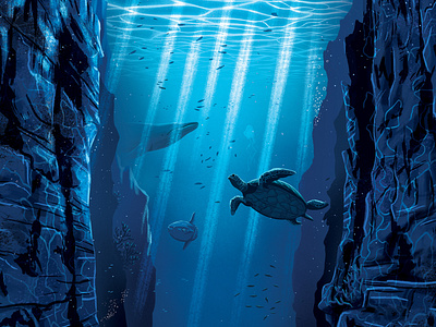 Oceans ocean sunfish turtle whale
