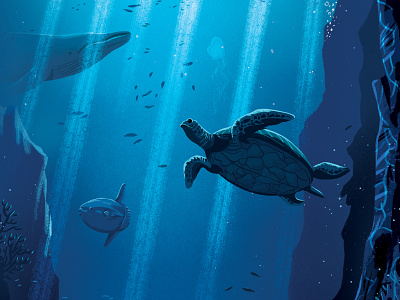 Closeup sunfish turtle whale