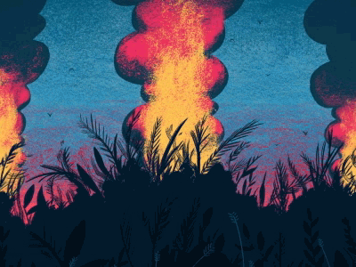 Forest Fire animation animation 2d climate change gif illustration rainforest