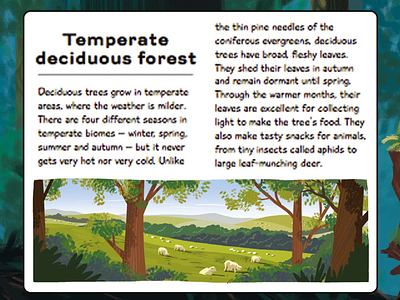Forest Frame picturebook