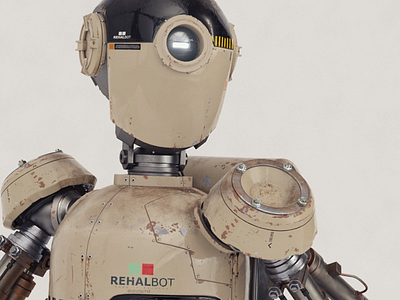 Rehal Robot
