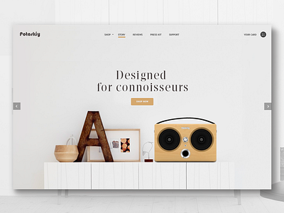 Pototskiy brand branding clean interface landing typography ux web