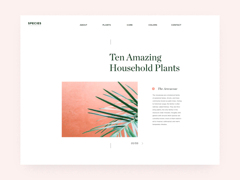 Houseplants animation clean design gif interface minimal motion typography ui ux