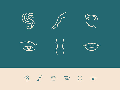 Beauty icons beauty body clean color cosmetics creative design eye face flat graphic design hair icon icon pack icon set iconography leg lips pictograms vector