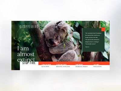 Disappearing: koala extinction campaign advertising animal billboard campaign clean climate change color concept creative design graphic design green koala nature orange photo photography poster print vector