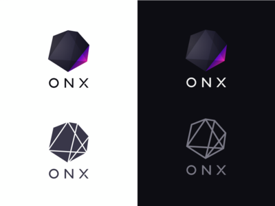 ONX Brand brand guide branding logo