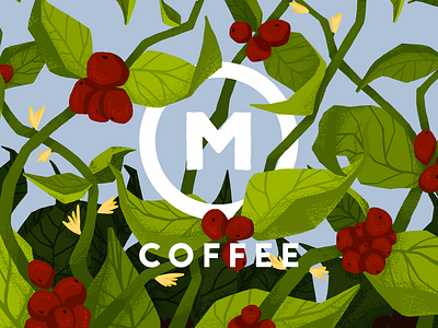 Market Coffee branding design food design graphic design icon illustration logo typography vector