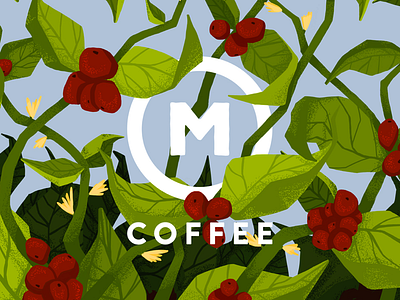 Market Coffee