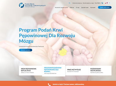 Polski Bank Komórek Macierzystych design ux web website website design