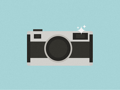 Camera camera flash flat icon illustration photo photography picture