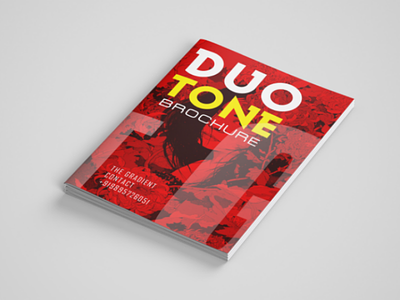 Duotone Brochure Design graphic design