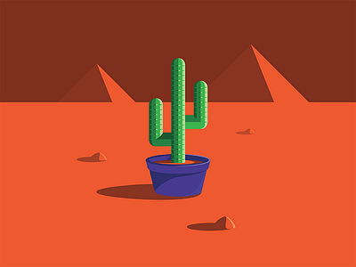 Desert Cactus