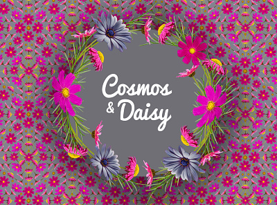 Cosmos and Daisy Floral Patterns behance cosmos daisy design floral flower isolated pattern photo photography surface design