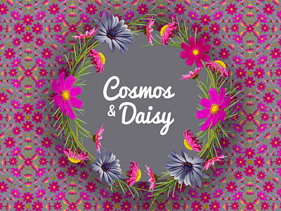 Cosmos and Daisy Floral Patterns