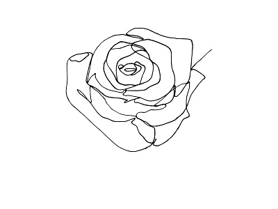 Rose One Line continuous line design flower illustration minimal monochrome one line rose single line vector