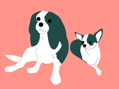 royal dogs) character design dog flat illustration vector