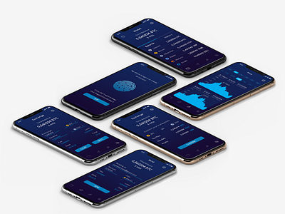 Cryptocurrency Wallet app applicaiton blue concept crypto crypto currency crypto wallet design interface iphone 10 mobile mobile app ui ui mobile ux wallet web
