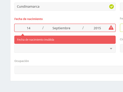 New project form clean colombia date error form formulario message minimal ui ux validation web