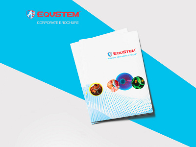 Equstem Brochure branding brochure corporate identity medical website