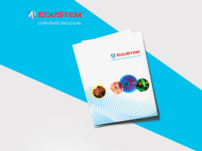 Equstem Brochure