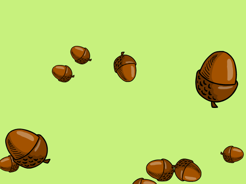 Acorn Bits acorn acorns animation design gif illustration twitch twitch overlay twitch.tv twitchemote vector