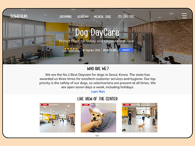 Bowraum - Dog Daycare