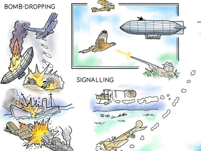 Royal Flying corps (3) animation aviation history illustration military whiteboard