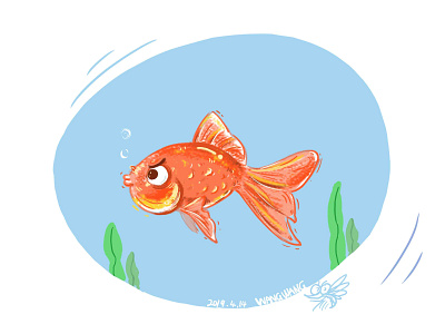 Mr. Angry goldfish
