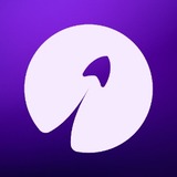 Orvio - SaaS Design