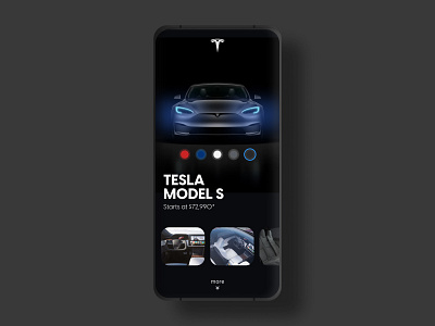 Tesla Mobile App Concept