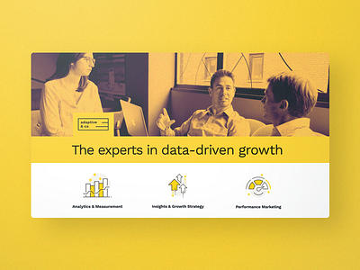 Data-driven growth web project