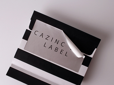 cazinc label custom foil stickers singapore