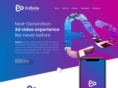 Enfinite Logo and Website logodesign modern website