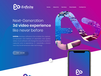 Enfinite Logo and Website