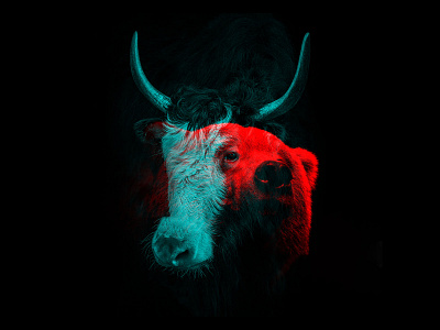 Bull and Bear blue design doubleexposure graphic design photoshop red