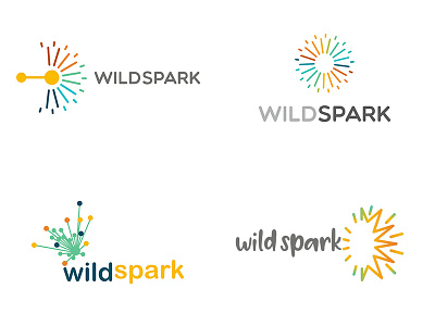 wild spark - logo - proosals branding business design it local logo name simple