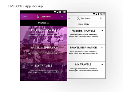 LiveGoSee Travel App Design android app site design interface main travel ui user ux