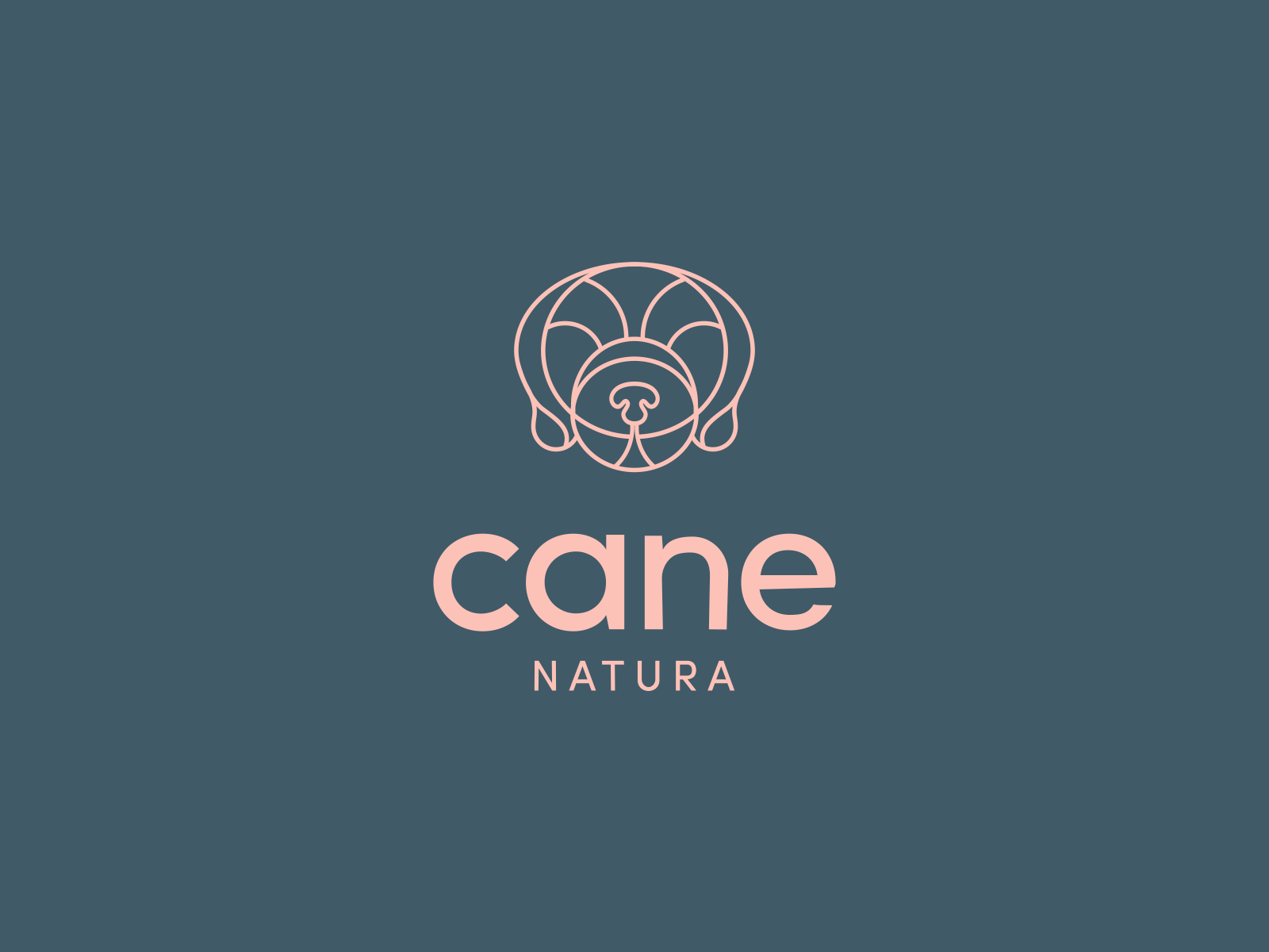 Cane Natura 2d animation animal animation brand identity branding branding design dog dog animation logo logo design motion motion design motion graphics motion logo