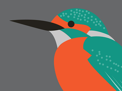 Bird Paradise Branding / Kingfisher branding design flat icon illustration vector