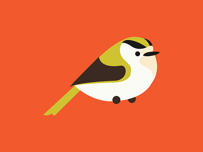 Bird Paradise Branding / Firecrest branding design flat icon illustration vector