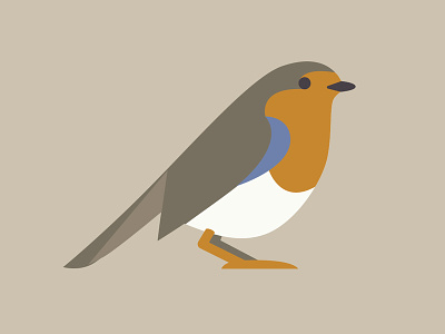 Bird Paradise Branding / Robin branding design flat icon illustration vector