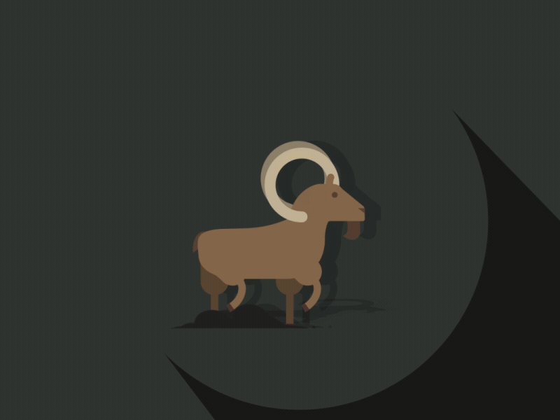 goat walking cycle aftereffects design illustration motion