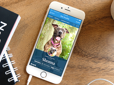 AllPaws App Pet Profile Redesign adoption app dating dog ios8 iphone mobile mobile app pet pet adoption pitbull rescue