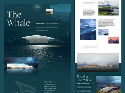 The Whale Arctic Pavilion aquatic wildlife architecture clean landing page minimal museum norway science ui web design website whale