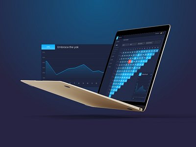 Cohort analysis