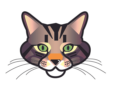 Cat illustration cat cat illustration character character design design digital illustration gradient kitten nose ring piercing