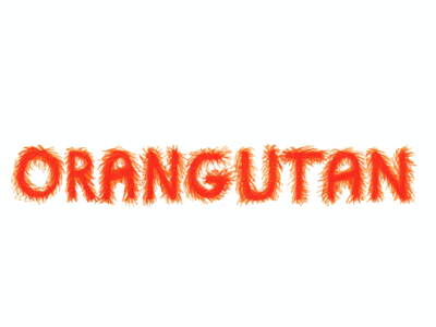 Orangutan typography font furry lettering orange orangutan palm oil typography