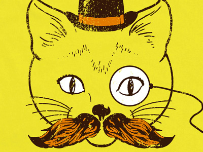 Nice Whiskers cats dcay derpy lol movember mustache whiskers