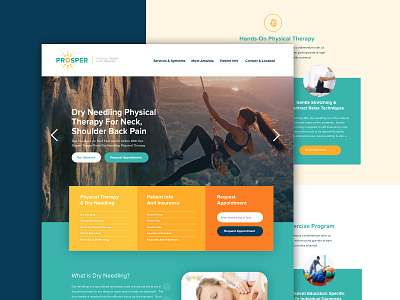 Prosper Physical Therapy Website Design design website