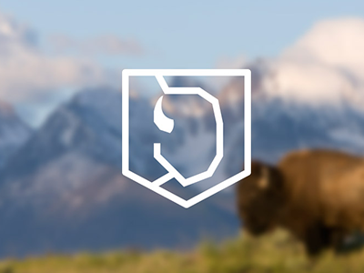 Bison Shield bison poly polygon shield